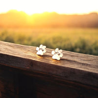 Avery | Tiny Paw Treasure
